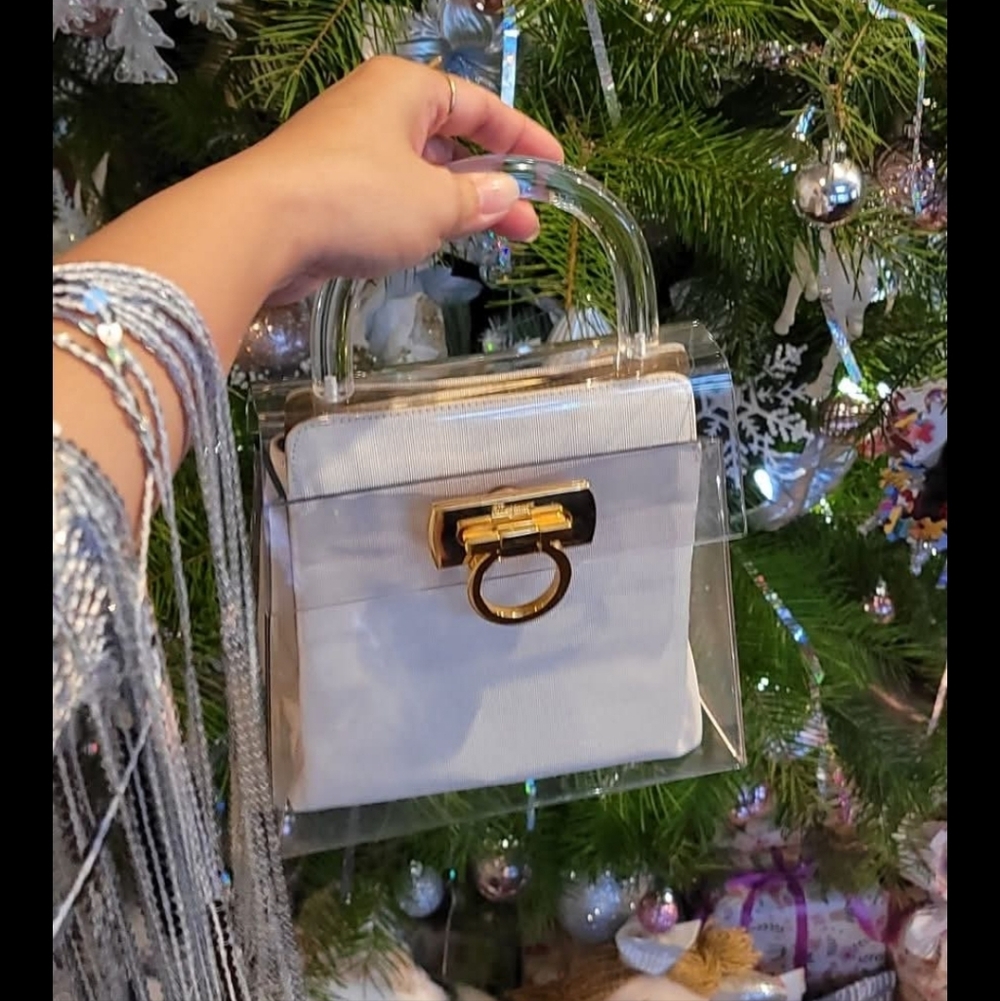 Rare Salvatore Ferragamo flexy glass bag